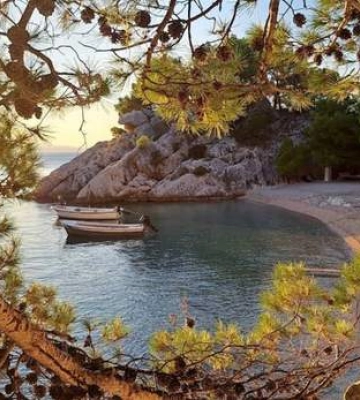 Рай среди соснового леса и моря: этот пляж в Хорватии называют самым красивым в Европе