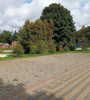 У центральному парку Луцька буде новий спортмайданчик