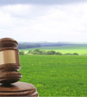 Недобросовісних орендарів змусили повернути громаді на Волині 10 земельних ділянок