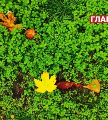 В Україні мінлива хмарність, місцями дощитиме: прогноз погоди на 23 вересня