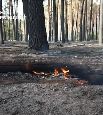 В Харьковской области горят леса