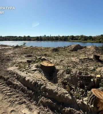 Новий скандал у Києві. Біля Русанівської протоки невідомі вирубали дерева та почали будівництво