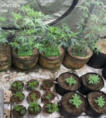У Києві затримано двох чоловіків, які виготовляли печиво з «сюрпризом» 