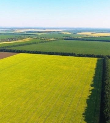 На Львівщині викрили фермера, який самовільно захопив 56 га земель