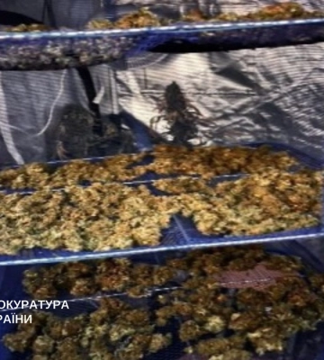 Вирощували коноплі та пекли печиво з марихуаною - у Києві повідомлено про підозру двом наркоділкам. ФОТО