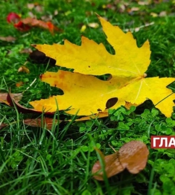 В Україні невелика хмарність: прогноз погоди на 25 вересня