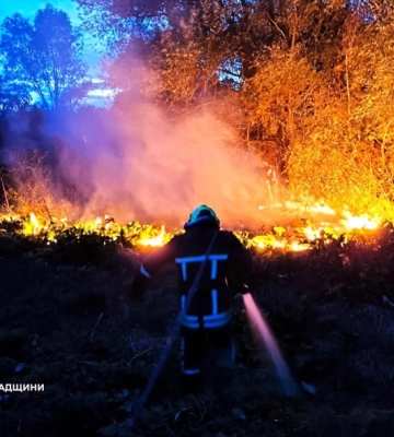 У Кропивницькому горів автомобіль
