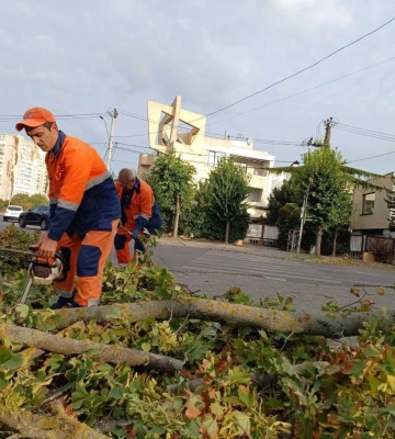 Одеські комунальники прибирають повалені вітром дерева