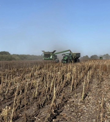 Аграрії Кіровоградщини продовжують збір пізніх зернових