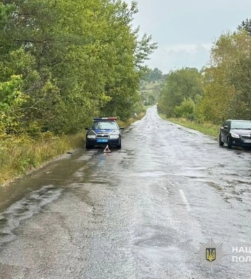 На Львівщині поліція затримала водія, який на смерть збив пішохода та втік