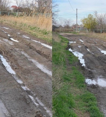 Стартувало будівництво 27 км нових лісових доріг, зокрема і на Волині