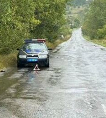 На Львівщині поліція затримала водія, який на смерть збив пішохода та втік