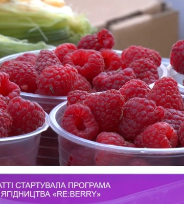 На Закарпатті стартувала програма підтримки ягідництва «RE:BERRY» (відео)