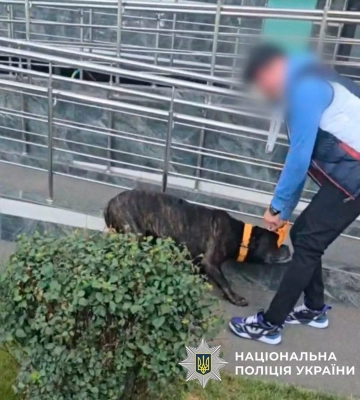 Мужчина избивал собаку на улице в Киеве: ему грозит штраф и изъятие животного