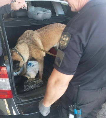 На Одещині собака Торі внюхала наркотики в автомобілі громадянина Молдови, - ФОТО