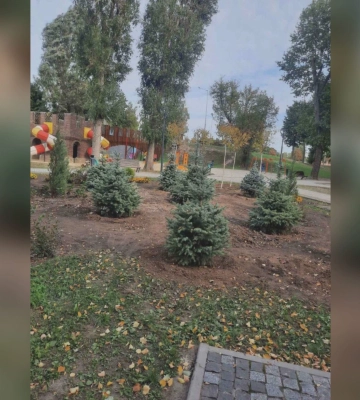 В харьковском парке "Юность" высадили более 300 редких деревьев и кустов 
