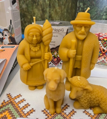 На Закарпатті визначили переможців обласного конкурсу стартапів