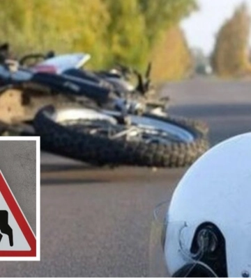 На Волині мотоцикліст врізався в корову та потрапив до лікарні