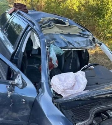 На Львівщині сталася смертельна ДТП за участі лося