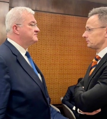 МЗС показало "сліпим" угорцям маршрут дрона на Закарпатті