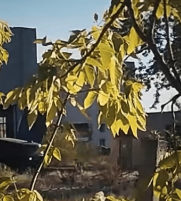 Розвідники ліквідували російських операторів БПЛА під час спецоперації в Мелітополі