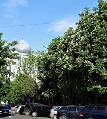 Закарпаття на великому екрані: Виноградів без «гуцульських» кліше