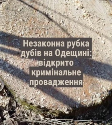 На Одещині викрили масштабні схеми незаконних вирубок дерев на понад 157 млн грн