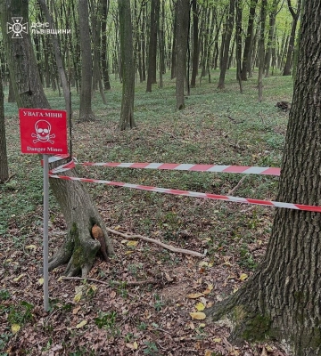 Грибники на Львівщині знаходять застарілі боєприпаси. Де саме