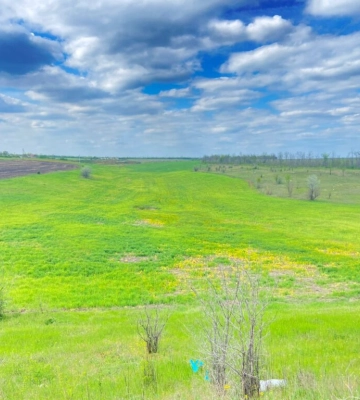 На Одещині територію пересохлого ставка незаконно використовували під сільське господарство
