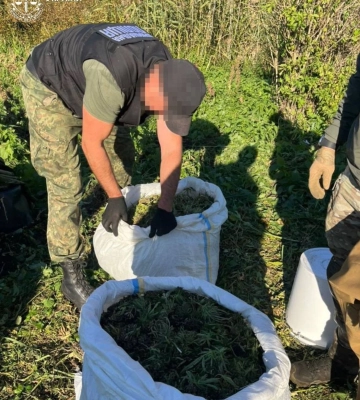 У заповідній зоні на Вінниччині викрито підпільне виробництво наркотиків на 5 мільйонів гривень. ВІДЕО+ФОТОрепортаж