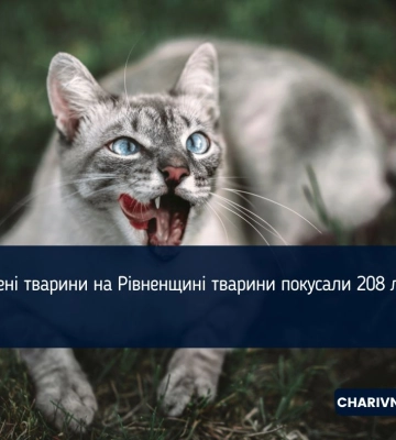 Скажені тварини на Рівненщині тварини покусали 208 людей