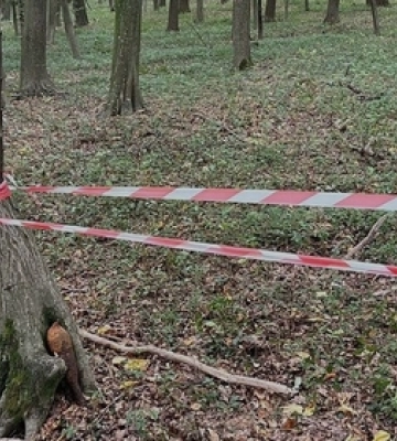 На Львівщині у лісах замість грибів знаходять снаряди