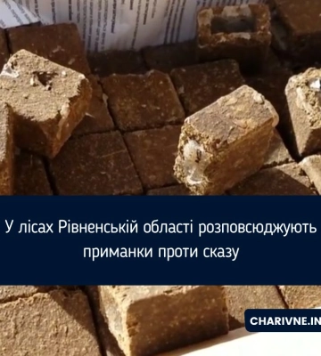 У лісах Рівненській області розповсюджують приманки проти сказу