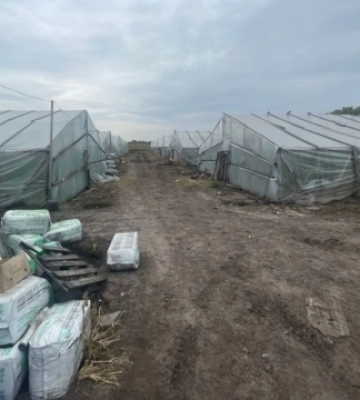 На Київщині викрили трьох іноземців та українку, які тримали у рабстві громадян Узбекистану