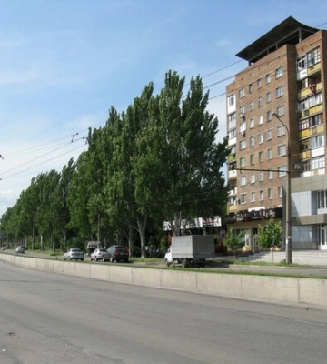 В Запорожье вырубают 37 деревьев ради обустройства парковочных карманов