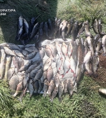 Судитимуть одесита, який відправляв на Ковельщину зброю