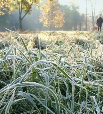 На Львівщині прогнозують заморозки та ожеледицю
