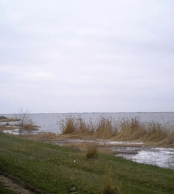 На відомому курорті Одещини висихає унікальна водойма: науковець пояснив, що відбувається