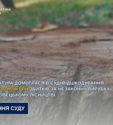 ДП “Ліси України” має відшкодувати збитки за незаконну вирубку у Свидовецькому лісництві