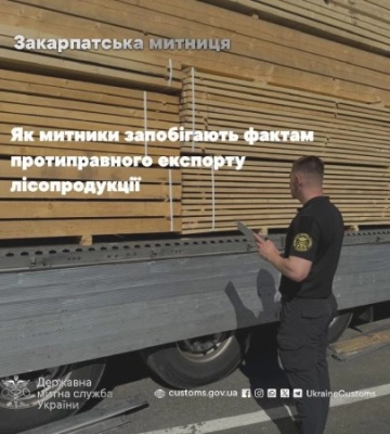 Закарпатські митники зупинили незаконний експорт лісу на понад 2 мільйони гривень