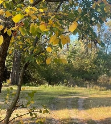 На Полтавщині 1 жовтня очікують хмарну погоду з дощем