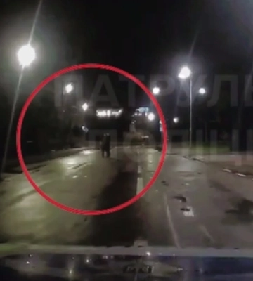 У Луцьку оштрафували п'яних пішоходів (відео)