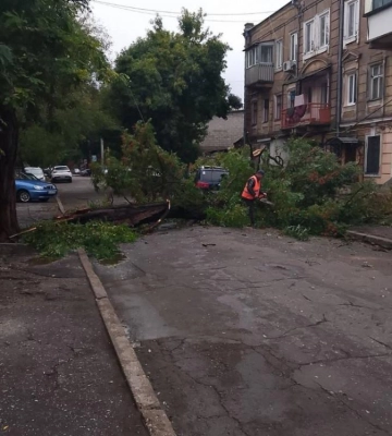 Внаслідок негоди в Одесі повалено 70 дерев