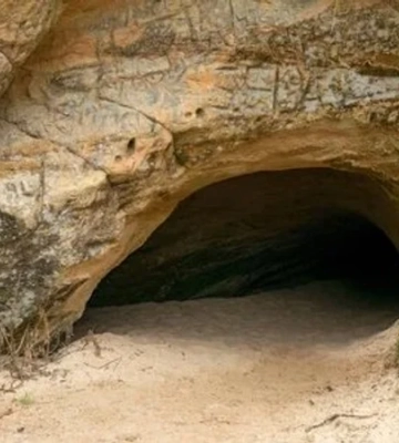 Гігантські тунелі. Науковці виявили підземну мережу довжиною до 600 метрів, викопану доісторичними лінивцями