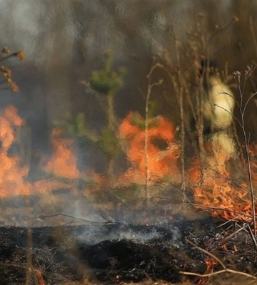 На Волині за місяць на дев’ятьох людей склали протоколи за спалювання сухостою. Який штраф