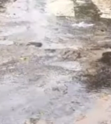 У Миколаєві вже довгий час з-під асфальту б'є вода