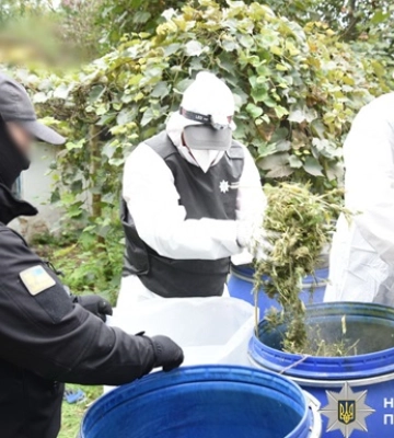 На Київщині правоохоронці вилучили коноплі на понад 15 мільйонів гривень