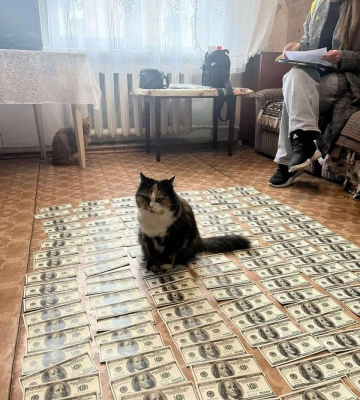 Задержана 57-летняя жительница Хмельницкого, которая обещала за $22 тысячи помочь избежать призыва на военную службу. ФОТОРЕПОРТАЖ