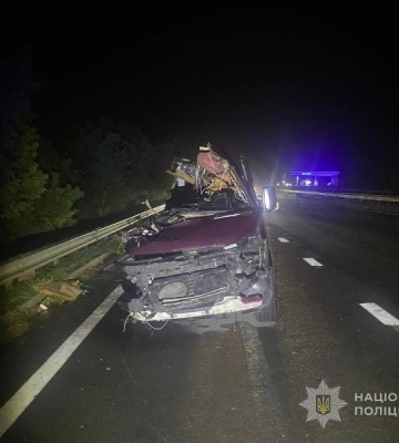 В ДТП на трасі Київ-Одеса загинула мати з дитиною