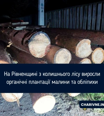 На Сарненщині поліцейські викрили чотири факти незаконної вирубки деревини
